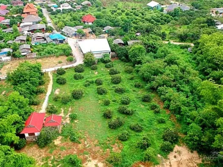 ขายที่ดินบ้านทุ่งหลุก ตำบลท่าวังพร้าว อำเภอสันป่าตอง ติดน้ำแม่วาง