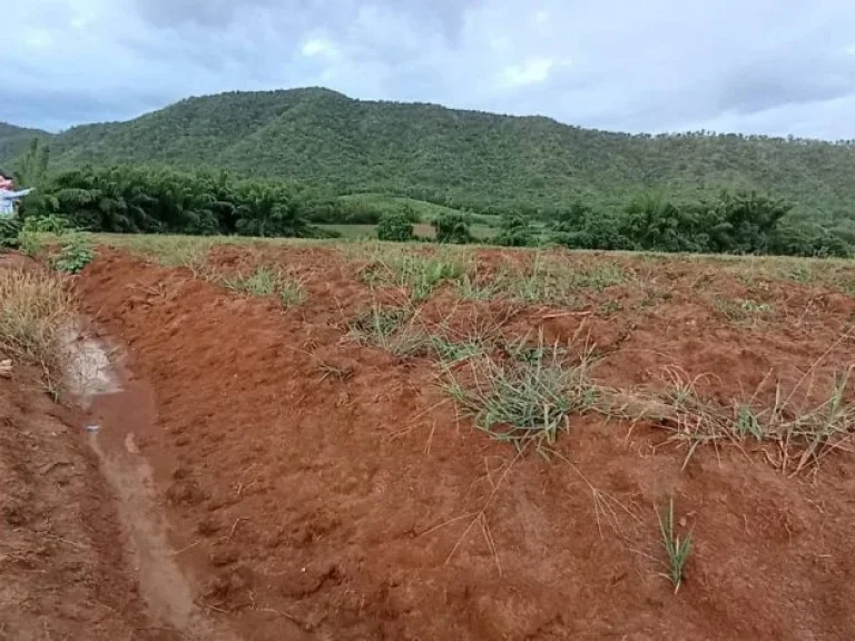 ที่สุดของ ขุนเขา 360 องศา 3 ไร่