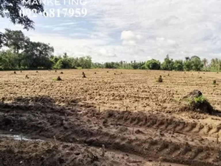 ขายที่ดินตะเคียนเตี้ย ติดถนนทุกด้าน ติดน้ำ ไฟ ครบ เหมาะสำหรับทำโครงการจัดสรร