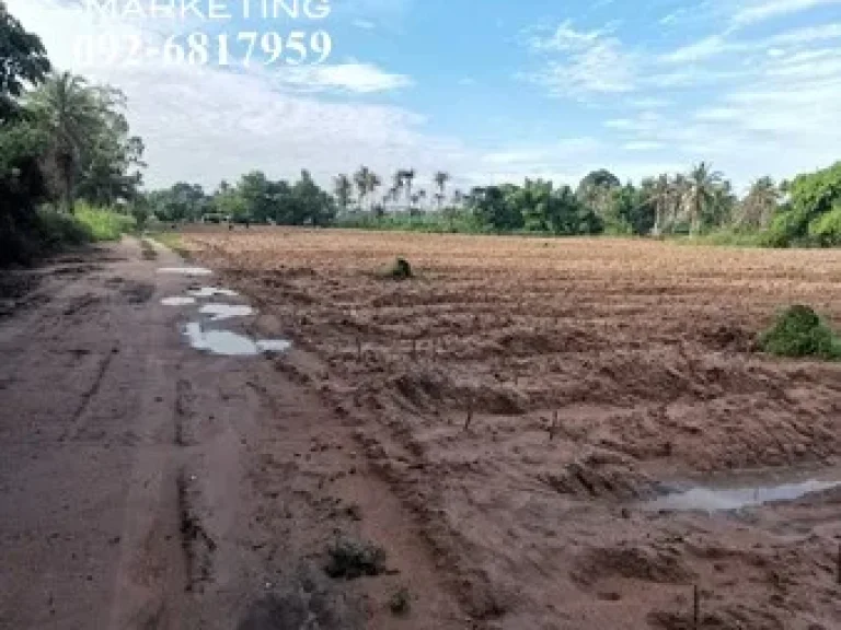 ขายที่ดินตะเคียนเตี้ย ติดถนนทุกด้าน ติดน้ำ ไฟ ครบ เหมาะสำหรับทำโครงการจัดสรร