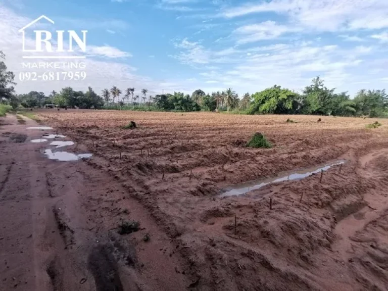 ขายที่ดินตะเคียนเตี้ย ติดถนนทุกด้าน ติดน้ำ ไฟ ครบ เหมาะสำหรับทำโครงการจัดสรร