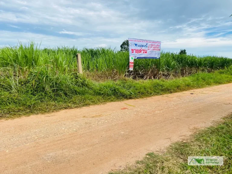 ขายที่ดิน 3 ไร่ ทำเลดี ท่าพระ อเมืองขอนแก่น จขอนแก่น