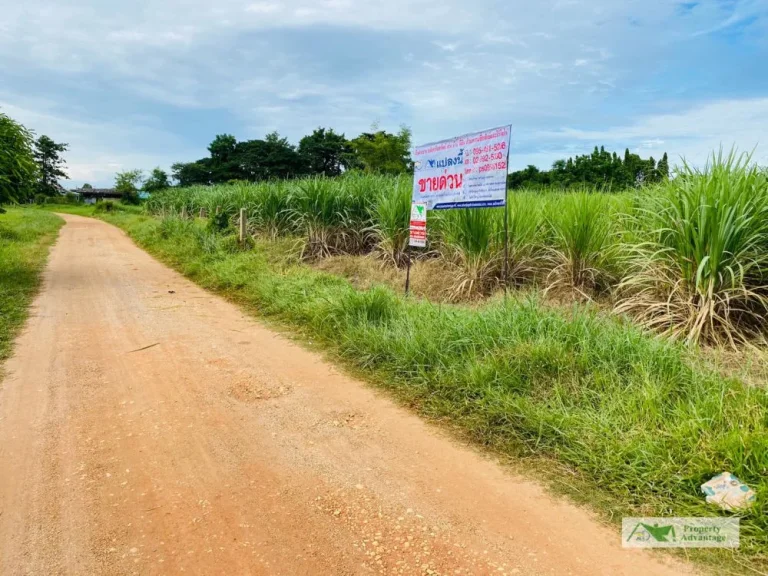 ขายที่ดิน 3 ไร่ ทำเลดี ท่าพระ อเมืองขอนแก่น จขอนแก่น