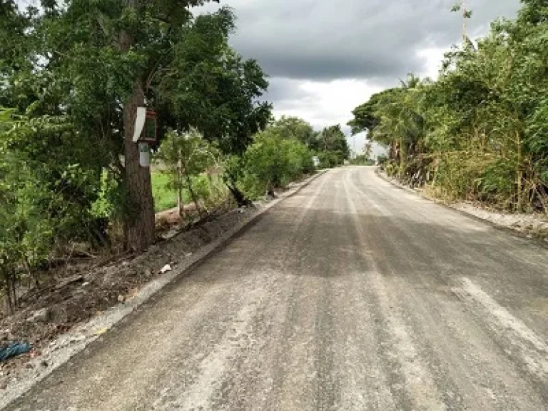 ขายที่ดิน ที่นา 30 ไร่ อลาดบัวหลวงจ้าา มีถนนตัดแล้ว 30 ไร่เลย