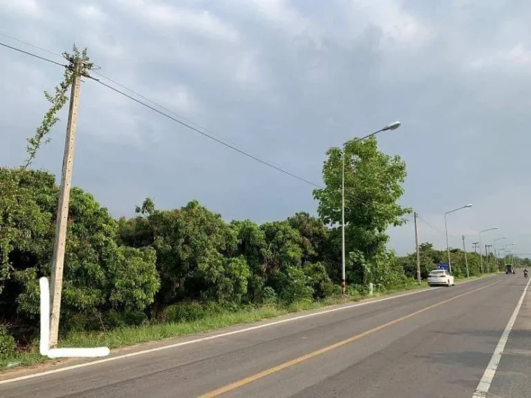 ที่ดินติดถนนใหญ่ โซนสันป่าตอง มะขามหลวง