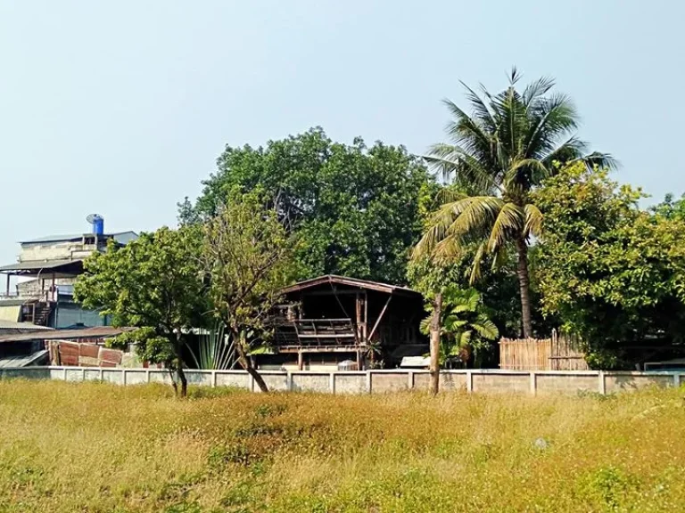 ขายที่ดิน ถราชเชียนแสน ตหายยา ใกล้คูเมือง ถนนคนเดิน ตลาดประตูเชียงใหม่