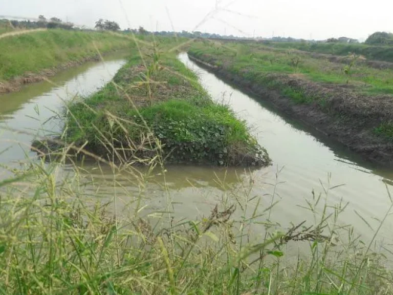 ที่ดินสวย มีโฉนด พร้อมสวนมะพร้าวน้ำหอม อำเภอเมือง จังหวัดราชบุรี