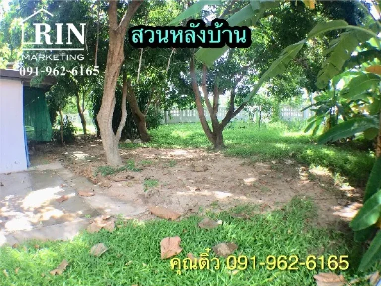 ขายบ้านพร้อมที่ดิน ที่โคราช 1ไร่ 3งาน 85 ตรวา ติดโรงเรียนอนุบาลหลานย่าโม่ ตโพธิ์กลาง อเมือง จ นครราชสีมา คุณติ๋ว 095-609-9165