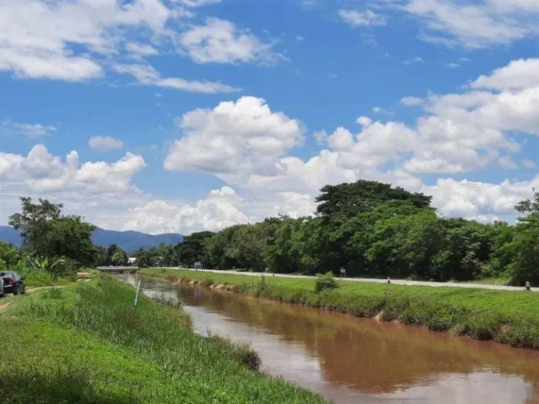 ขายที่สวนลำใยติดคลองชลประทาน แม่แตง เชียงใหม่