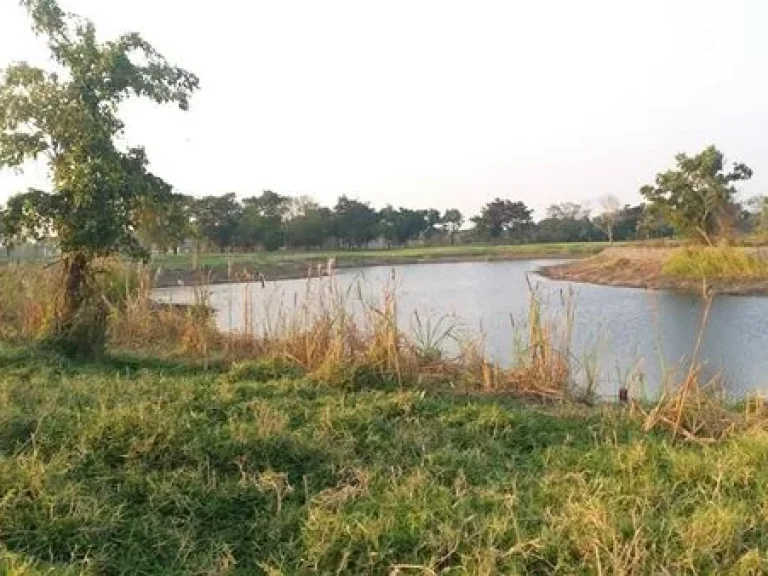 ขาย ที่ดินแปลงสวย ติดเลค วิวงาม ในสนามกอล์ฟสุวรรณภูมิ สดได้ ผ่อนได้ เอาที่สะดวก T 0621574449