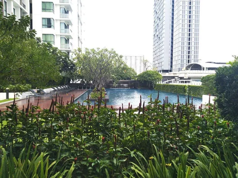 เช่าด่วน คอนโดห้องใหญ่ แบบ 1 ห้องนอน ติด BTS ปุณวิถี For Rent A Large 1 Bed Unit at a Very Nice Condo Project Right at BTS Punna Withi