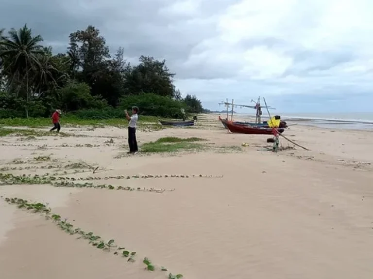 ขายที่ดินติดหาดทราย ตบ่อนอก อเมืองประจวบคีรีขันธ์ เนื้อที่ 3-1-20ไร่ๆละ 14ล้านบาท