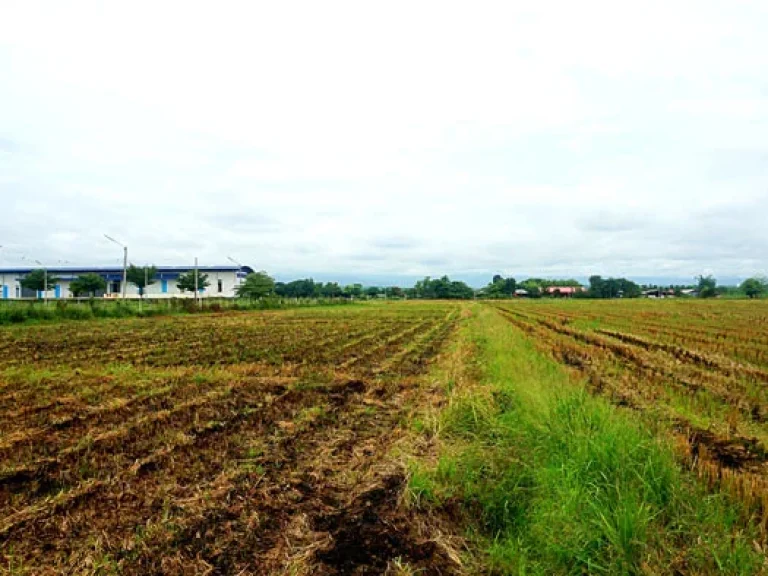 ขายที่ดิน ตำบลแม่แฝก อำเภอสันทราย จังหวัดเชียงใหม่ ใกล้สถานีผลิตน้ำแม่แฝก