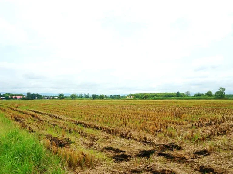 ขายที่ดิน ตำบลแม่แฝก อำเภอสันทราย จังหวัดเชียงใหม่ ใกล้สถานีผลิตน้ำแม่แฝก