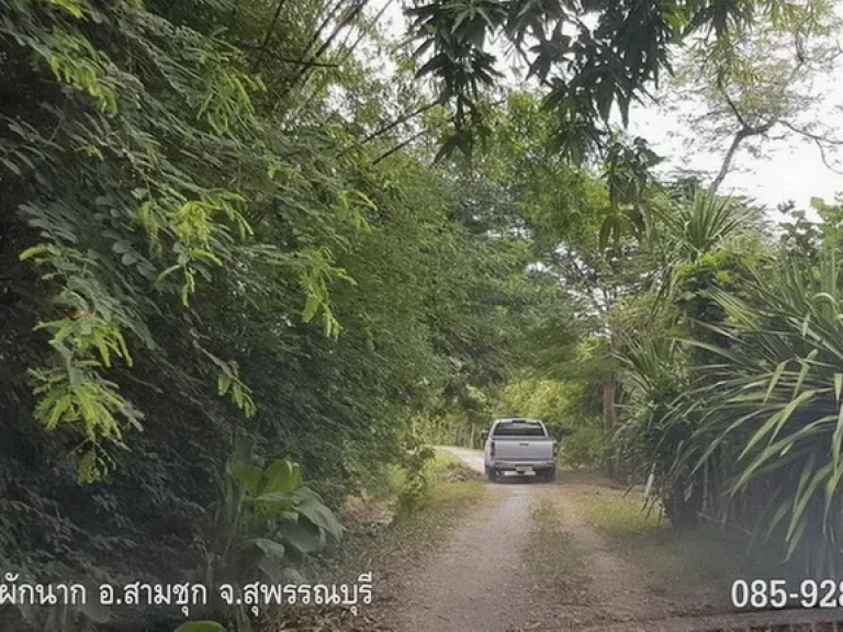 ขายที่ดิน หนองผักนาก สามชุก สุพรรณบุรี 9-2-28 ไร่