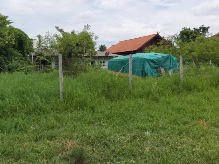 ขายที่ดินวิวสุเทพ บ้านช่างทอง สุเทพ ราคาถูก