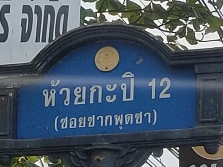 ขายที่ดินเปล่า 57 ตรวใกล้ถสุขุมวิท เพียง 400 ม ซห้วยกะปิ 12 ซากพุทธา ชลบุรี
