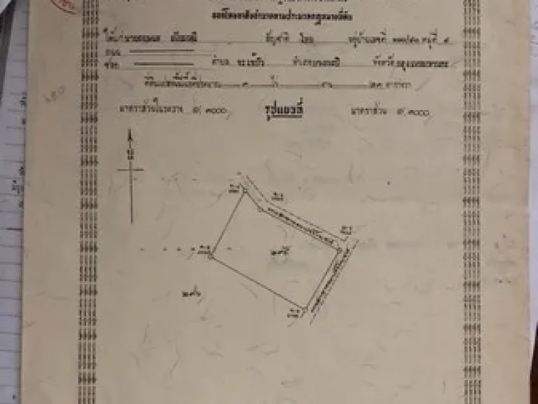 ขายที่ดินเปล่า แปลงมุม อำเภอสันป่าตอง จังหวัดเชียงใหม่ เนื้อที่ 1 ไร่ 21 ตารางวา