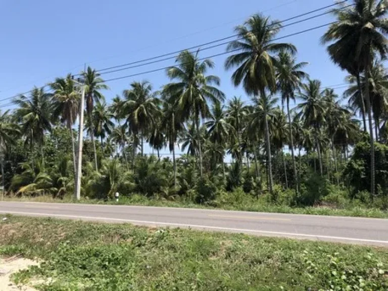 ขายที่ดินติดทะเลสวยๆ ราคาถูก บางสะพาน จประจวบ