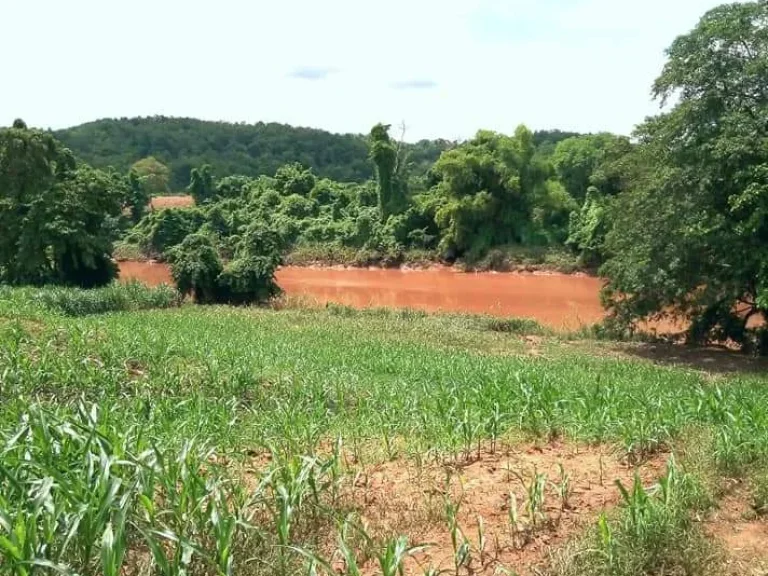 ที่ราบบนเนินสวย ติดแม่น้ำน่าน อุตรดิตถ์