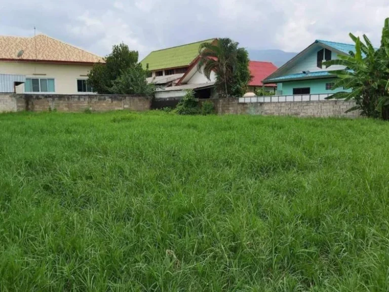 ขายที่ดินบ้านช่างทอง ตำบลสุเทพ เขตเมือง เชียงใหม่