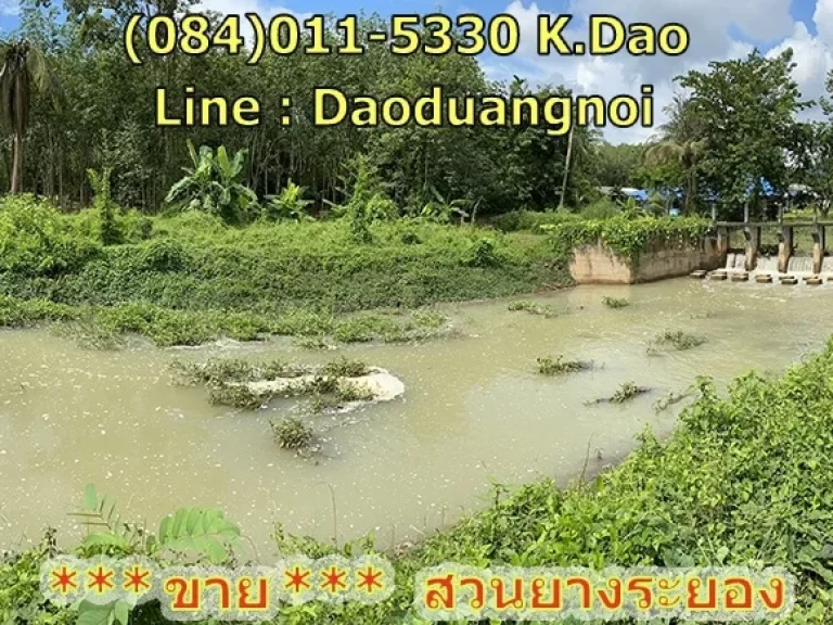 ขายที่โฉนด 7-0-55 ไร่ 2855 ตรว บ้านค่าย หมู่ 3 ใกล้สี่แยกบางบุตร