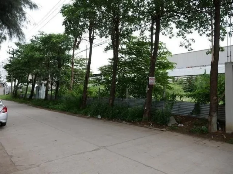 Land For Rent ที่ดินถมแล้ว 1 ไร่ ลาดพร้าว101 ซอยโพธิ์แก้ว3