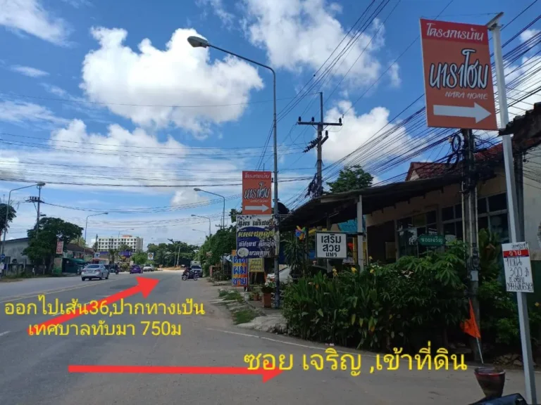 ขายที่ดิน 300 ตรว ทับมา ระยอง ใกล้ เซนทรัล