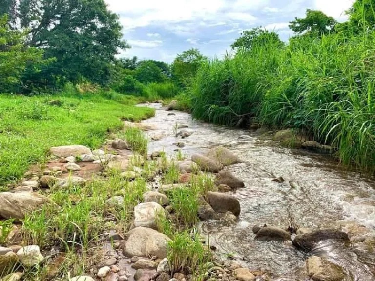 ขายที่ดินติดธารน้ำ ท่าผาแม่แจ่ม วิวเนินดอย เชียงใหม่