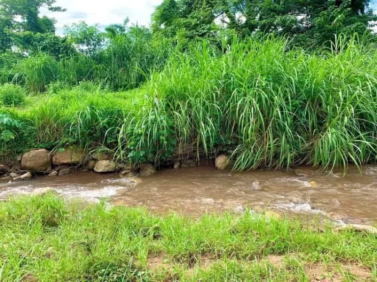 ขายที่ดินติดธารน้ำ ท่าผาแม่แจ่ม วิวเนินดอย เชียงใหม่