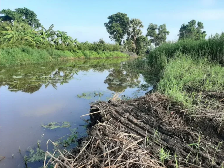 ขายที่ดินเปล่าถนนสุวินทวงศ์102 หนองจอก ใกล้สำนักงานขนส่ง ด้านหลังติดคลอง พื้นที่1-1-37ไร่ ขายตารางวาละ4000บาท