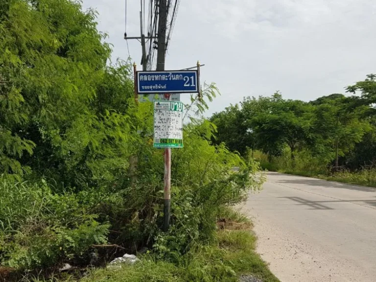 ขายที่ดิน ซอยคลองหกตะวันตก 21 คลองหลวง ปทุมธานี