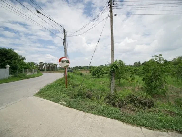 ขาย ที่ดิน ตสำพะเนียง บ้านแพรก อยุธยา แปลงมุมถนนสวยมาก