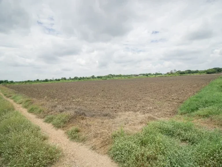 ขาย ที่ดิน ตสำพะเนียง บ้านแพรก อยุธยา ราคาถูกมาก ที่นา