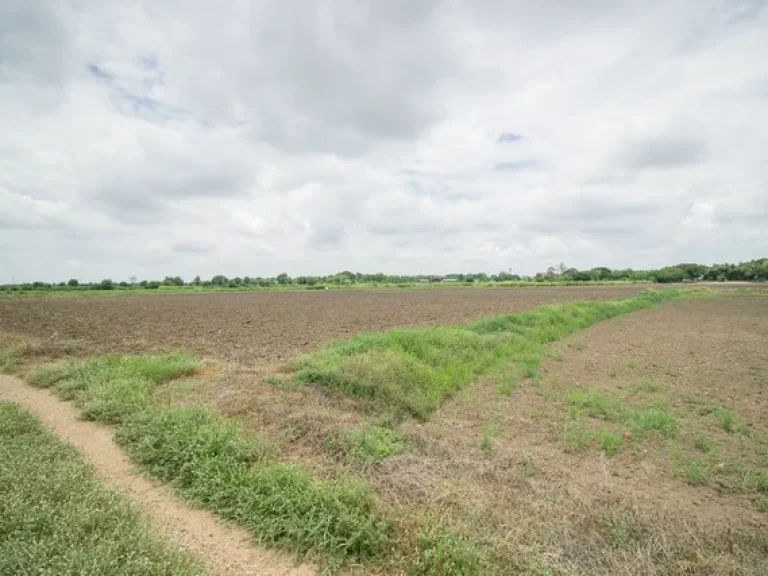 ขาย ที่ดิน ตสำพะเนียง บ้านแพรก อยุธยา ราคาถูกมาก ที่นา