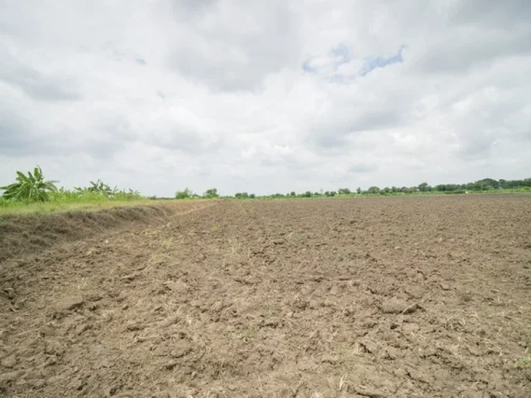 ขาย ที่ดิน ตสำพะเนียง บ้านแพรก อยุธยา ราคาถูกมาก ที่นา