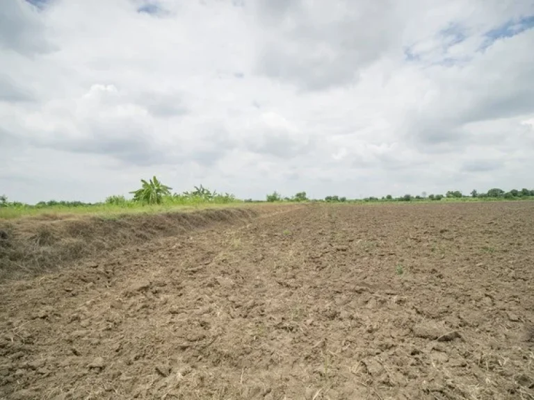 ขาย ที่ดิน ตสำพะเนียง บ้านแพรก อยุธยา ราคาถูกมาก ที่นา