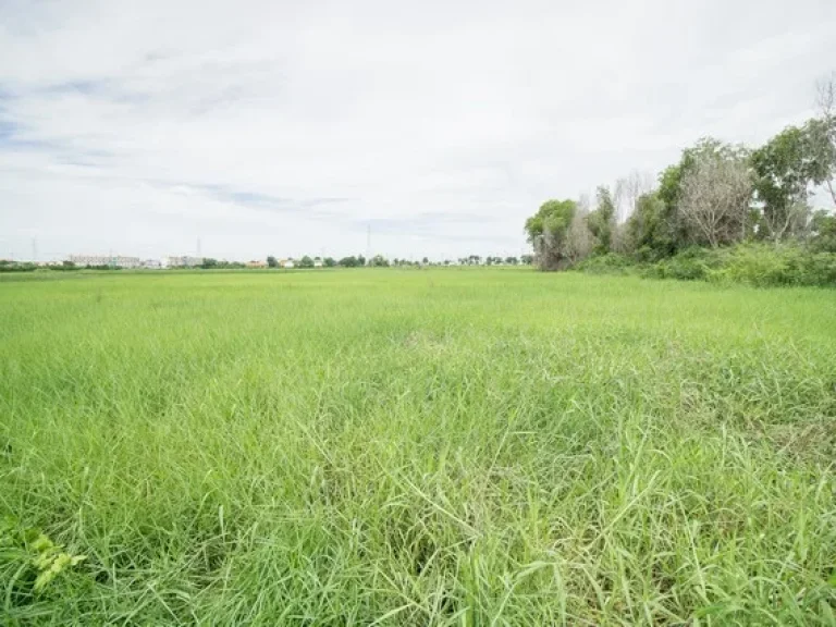 ขาย ที่ดิน ตบ้านหว้า บางปะอิน อยุธยา ราคาถูกมาก เนื้อที่ 3 ไร่