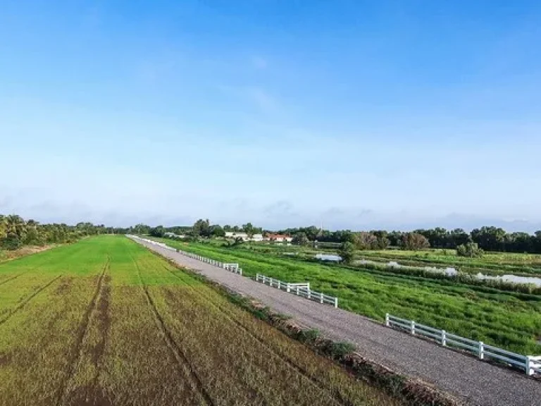 ขายที่ดินแปลงสวย คลอง 9 หนองเสือ ตะวันออก เริ่มต้น 200 ตรว มีน้ำไฟ ถนนกว้าง 6 เมตร