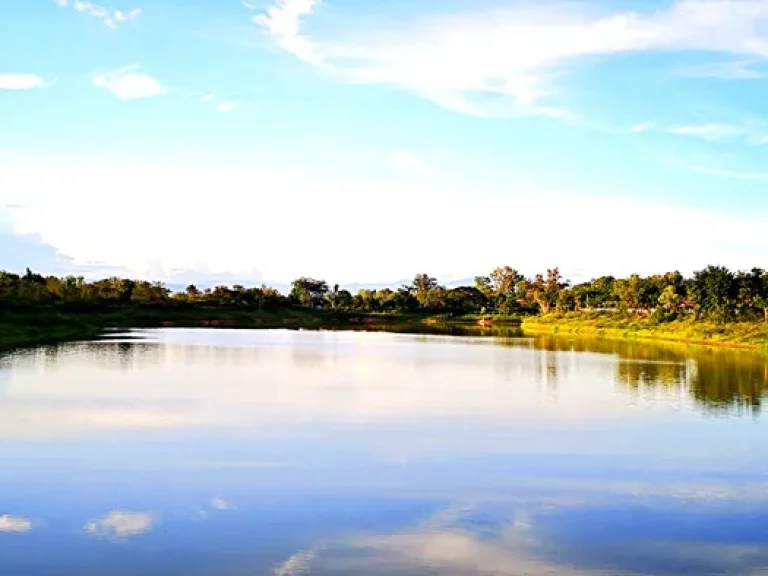 ขายที่ดิน ตำบลสันติสุข อำเภอดอยหล่อ จังหวัดเชียงใหม่