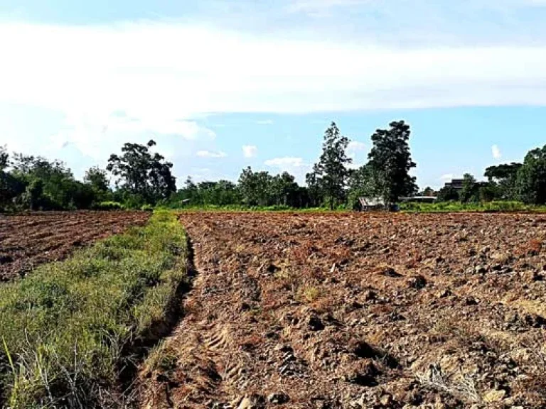 ขายที่ดิน ตำบลสันติสุข อำเภอดอยหล่อ จังหวัดเชียงใหม่