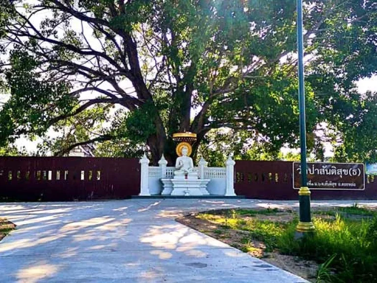 ขายที่ดิน ตำบลสันติสุข อำเภอดอยหล่อ จังหวัดเชียงใหม่