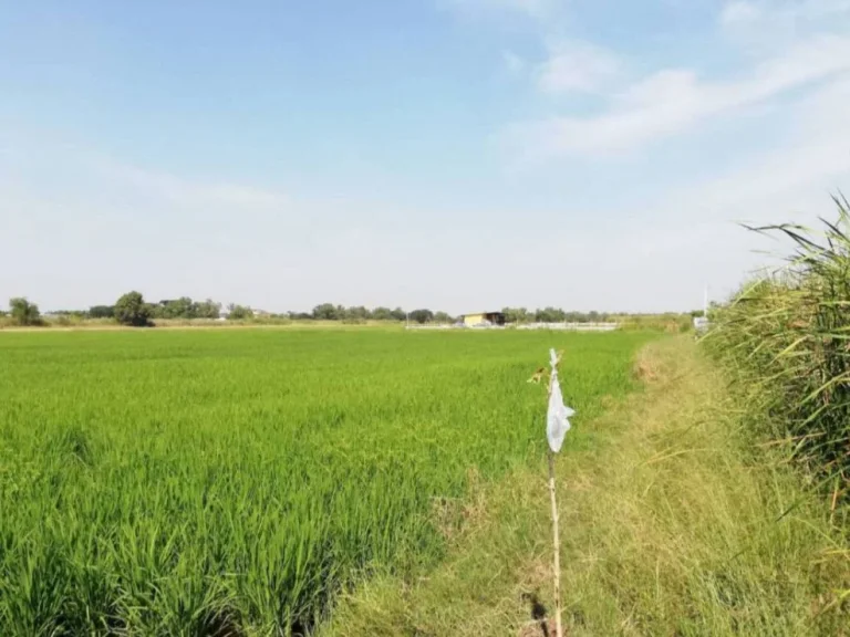 ขายที่ดิน ถเลียบวารี 59 ระหว่างมีนบุรีหนองจอก 7ไร่