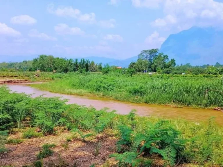 ขายที่ดินติดลำธารน้ำเชียงดาววิวดอยหลวงโฉนดพร้อมโอน