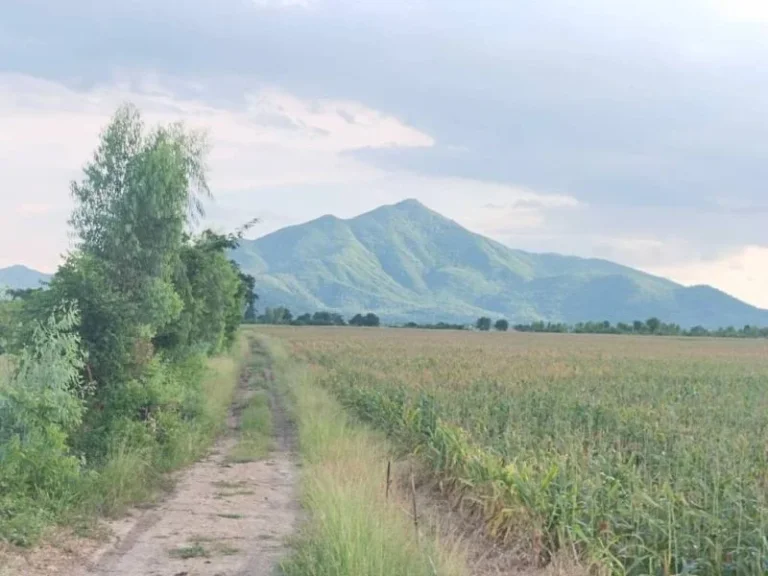 ขายที่ดินติดลาดยาง 2 ไร่ ใกล้ชิดเขาวงค์พระจันทร์