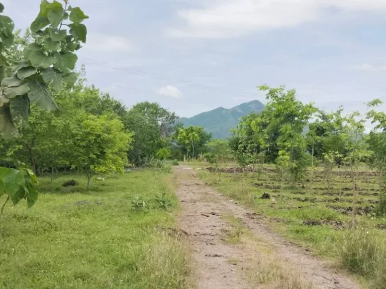 ขายที่ดินติดลาดยาง 2 ไร่ ใกล้ชิดเขาวงค์พระจันทร์