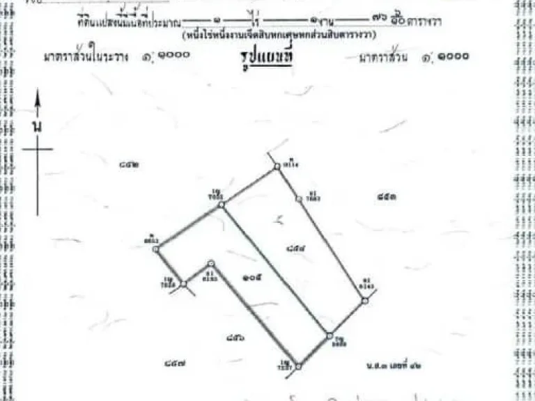 เหมาะสำหรับลงทุนและทำพูลวิลล่า ขายที่ดิน 16 ล้าน เนื้อที่ 594