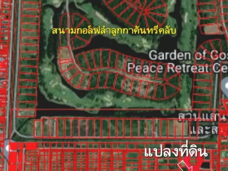 ขายที่ดิน คลอง11 ลำลูกกา 397 ตรว ใกล้สนามกอล์ฟลำลูกกาคันทรี