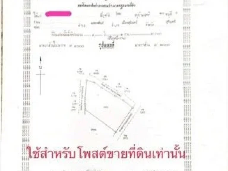 ขายที่ดินขนาด 4 ไร่ 1 งาน อำเภอเมืองจังหวัดสุรินทร์