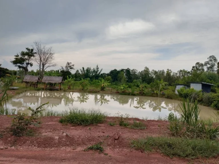 ขายที่ดิน ต ห้วยสามพาด ประจักษ์ศิลปาคม อุดรธานี